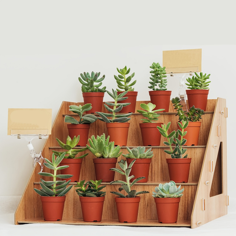 Wooden Display Rack, Farm Mark - Pop Display Shelf review and price